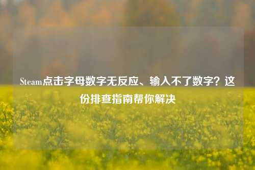 Steam点击字母数字无反应、输入不了数字?这份排查指南帮你解决