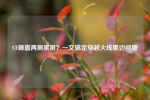 CF画面两侧黑屏?一文搞定穿越火线黑边问题