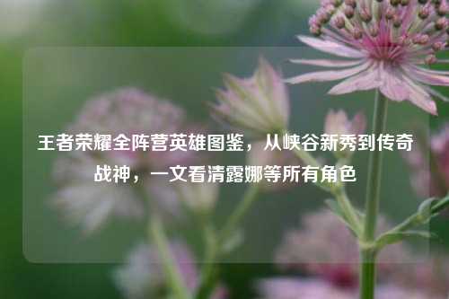 王者荣耀全阵营英雄图鉴,从峡谷新秀到传奇战神,一文看清露娜等所有角色