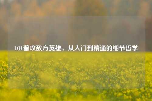 LOL普攻敌方英雄,从入门到精通的细节哲学