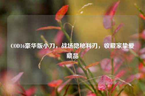 COD16豪华版小刀,战场隐秘利刃,收藏家挚爱藏品