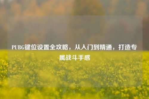 PUBG键位设置全攻略,从入门到精通,打造专属战斗手感
