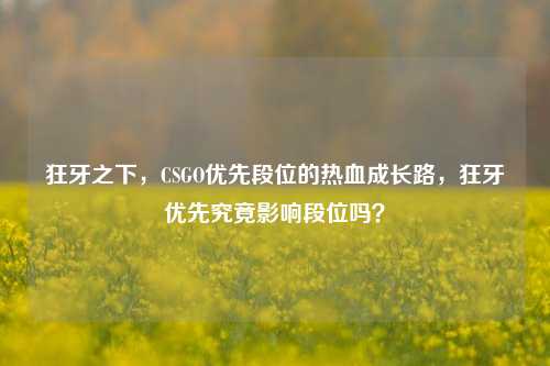狂牙之下,CSGO优先段位的热血成长路,狂牙优先究竟影响段位吗?