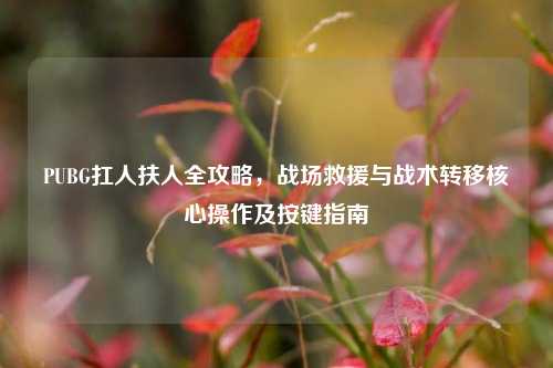PUBG扛人扶人全攻略,战场救援与战术转移核心操作及按键指南