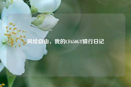 风绘自由,我的CF650GT骑行日记