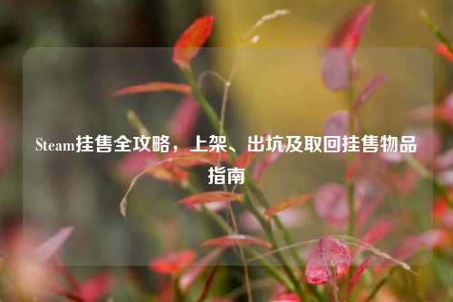 Steam挂售全攻略,上架、出坑及取回挂售物品指南