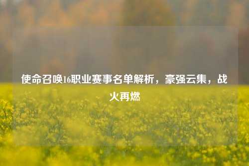 使命召唤16职业赛事名单解析,豪强云集,战火再燃