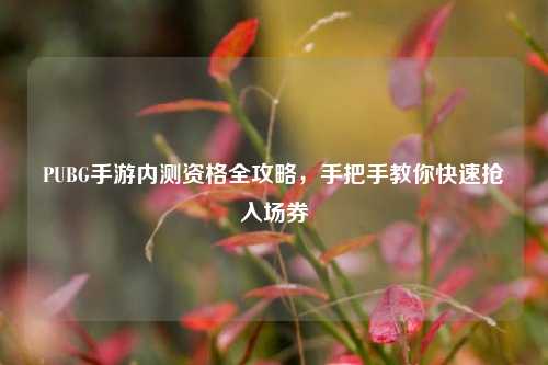 PUBG手游内测资格全攻略,手把手教你快速抢入场券