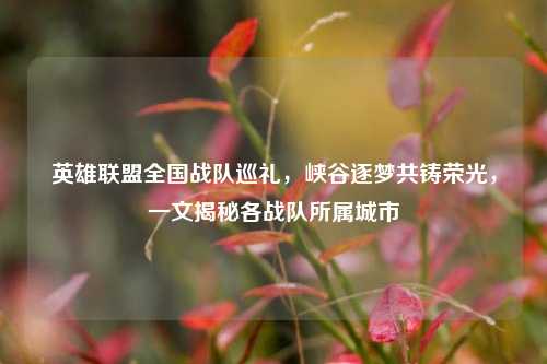 英雄联盟全国战队巡礼,峡谷逐梦共铸荣光,一文揭秘各战队所属城市