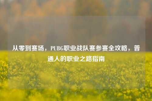 从零到赛场,PUBG职业战队赛参赛全攻略,普通人的职业之路指南