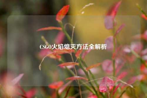 CSGO火焰熄灭 全解析