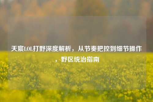 天宸LOL打野深度解析,从节奏把控到细节操作,野区统治指南