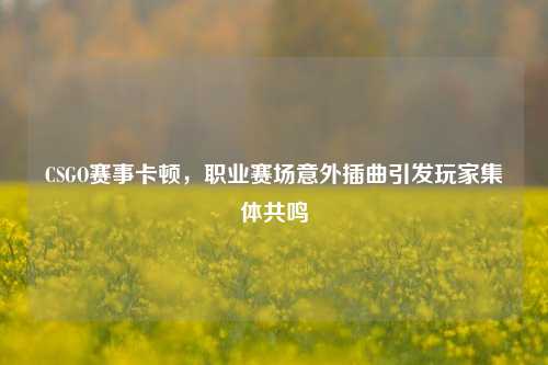 CSGO赛事卡顿,职业赛场意外插曲引发玩家集体共鸣