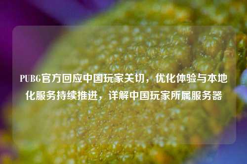 PUBG官方回应中国玩家关切,优化体验与本地化服务持续推进,详解中国玩家所属服务器
