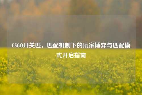 CSGO开关匹,匹配机制下的玩家博弈与匹配模式开启指南