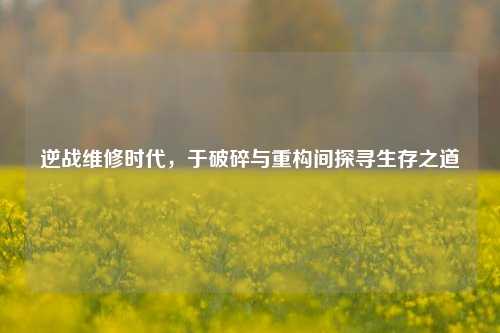 逆战维修时代,于破碎与重构间探寻生存之道