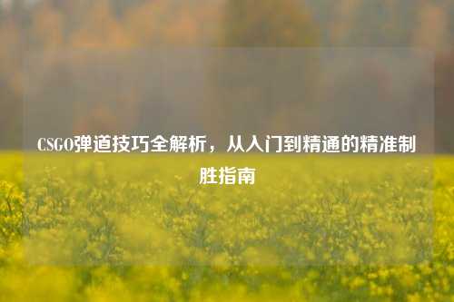 CSGO弹道技巧全解析,从入门到精通的精准制胜指南