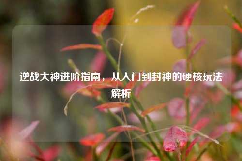 逆战大神进阶指南,从入门到封神的硬核玩法解析