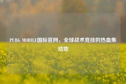 PUBG MOBILE国际官网,全球战术竞技的热血集结地