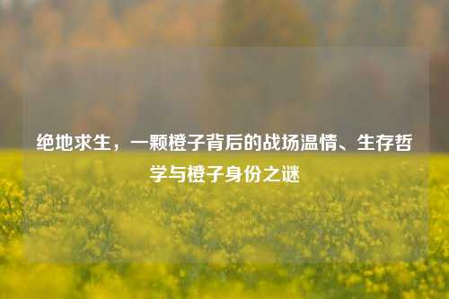 绝地求生,一颗橙子背后的战场温情、生存哲学与橙子身份之谜