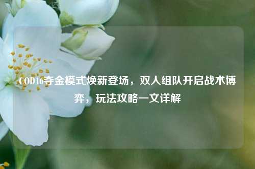 COD16夺金模式焕新登场,双人组队开启战术博弈,玩法攻略一文详解