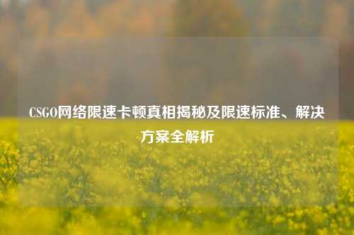 CSGO 限速卡顿真相揭秘及限速标准、解决方案全解析