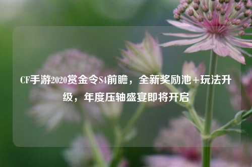 CF手游2020赏金令S4前瞻,全新奖励池+玩法升级,年度压轴盛宴即将开启