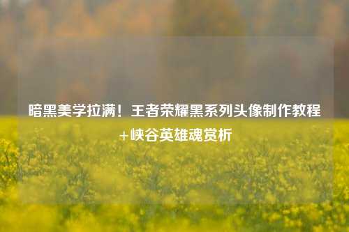 暗黑美学拉满!王者荣耀黑系列头像 教程+峡谷英雄魂赏析