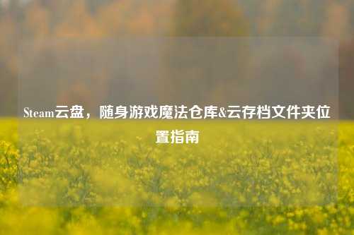 Steam云盘,随身游戏魔法仓库&云存档文件夹位置指南