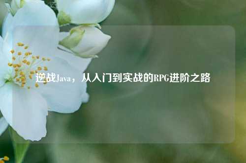 逆战Java,从入门到实战的RPG进阶之路
