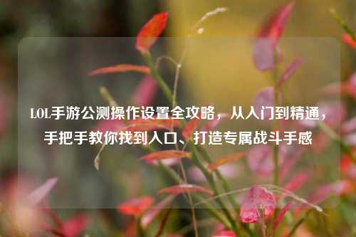 LOL手游公测操作设置全攻略,从入门到精通,手把手教你找到入口、打造专属战斗手感