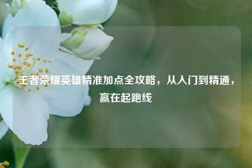 王者荣耀英雄精准加点全攻略,从入门到精通,赢在起跑线