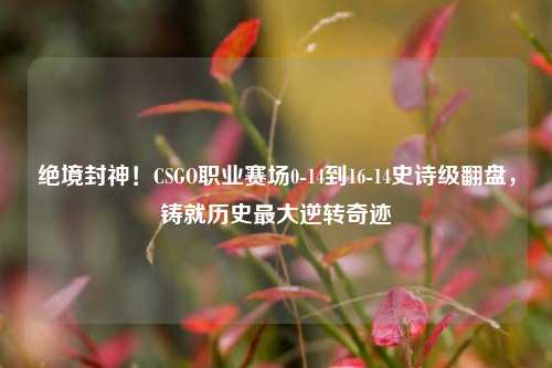 绝境封神!CSGO职业赛场0-14到16-14史诗级翻盘,铸就历史更大逆转奇迹
