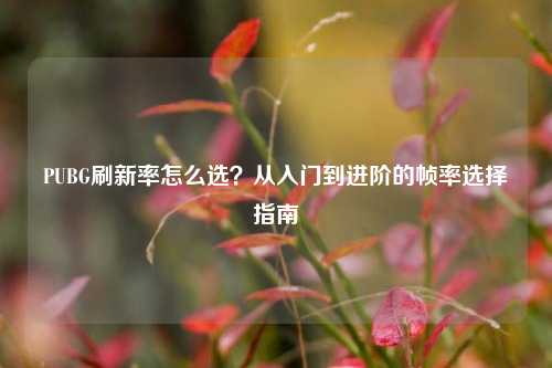 PUBG刷新率怎么选?从入门到进阶的帧率选择指南