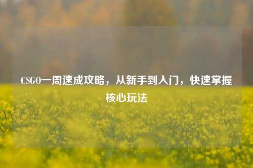 CSGO一周速成攻略,从新手到入门,快速掌握核心玩法