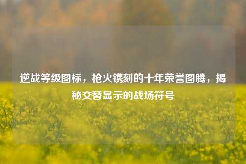 逆战等级图标,枪火镌刻的十年荣誉图腾,揭秘交替显示的战场符号
