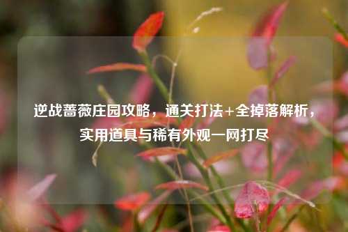 逆战蔷薇庄园攻略,通关打法+全掉落解析,实用道具与稀有外观一网打尽