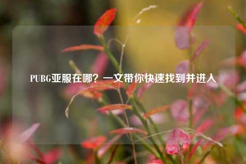 PUBG亚服在哪?一文带你快速找到并进入
