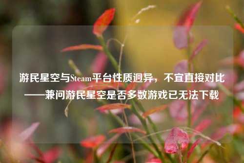 游民星空与Steam平台性质迥异,不宜直接对比——兼问游民星空是否多数游戏已无法下载