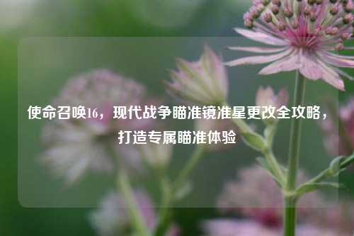 使命召唤16,现代战争瞄准镜准星更改全攻略,打造专属瞄准体验