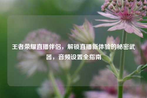 王者荣耀直播伴侣,解锁直播新体验的秘密武器,音频设置全指南