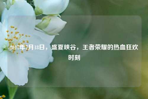 2017年7月18日,盛夏峡谷,王者荣耀的热血狂欢时刻