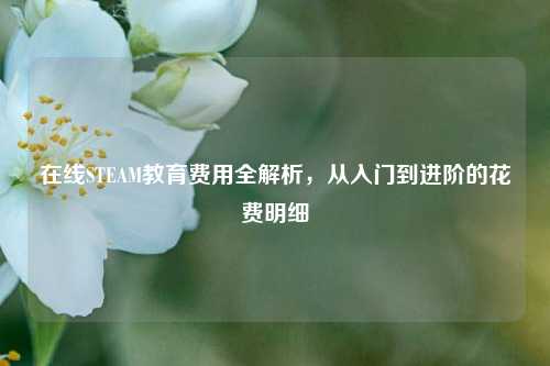 在线STEAM教育费用全解析,从入门到进阶的花费明细