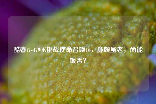 酷睿i7-4790K挑战使命召唤16,廉颇虽老,尚能饭否?