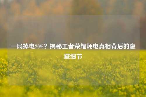 一局掉电20%?揭秘王者荣耀耗电真相背后的隐藏细节