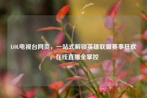 LOL电视台网页,一站式解锁英雄联盟赛事狂欢,在线直播全掌控