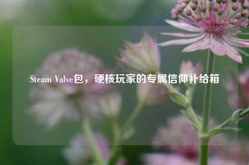 Steam Valve包,硬核玩家的专属信仰补给箱
