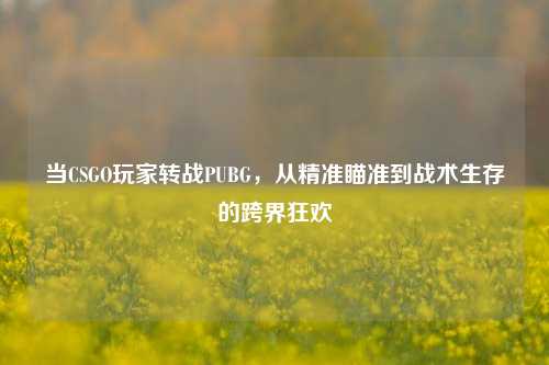 当CSGO玩家转战PUBG,从精准瞄准到战术生存的跨界狂欢