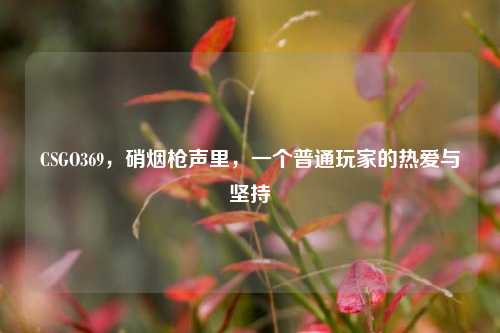 CSGO369,硝烟枪声里,一个普通玩家的热爱与坚持