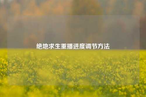 绝地求生重播进度调节